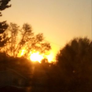 Meet your Posher, Keara